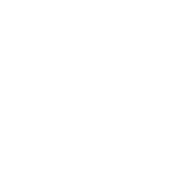 Stacionaraus telefono ragelis