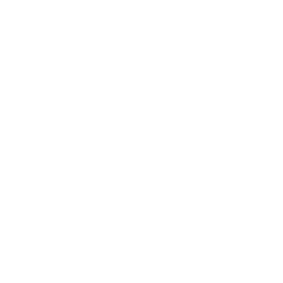 Ikona su moterimi ir vyru už jos